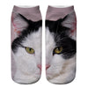 Creatieve Sokken Met Kattenprint