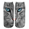 Creatieve Sokken Met Kattenprint