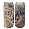 Creatieve Sokken Met Kattenprint
